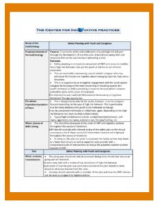 Safety Planning Framework